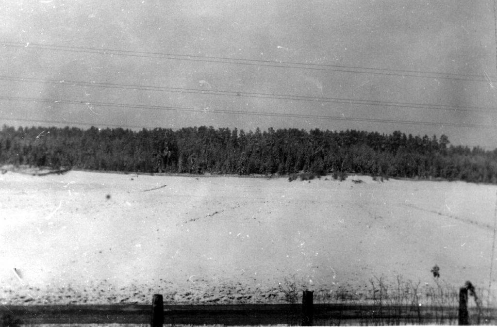 012. 1:a maj 1929. Ur familjen Börjemalms arkiv.
© familjen Börjemalm.