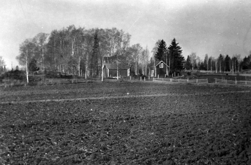 116. Skoltomten (björkdungen) från öster. Sannolikt 1929. Ur familjen Börjemalms arkiv.
© familjen Börjemalm.