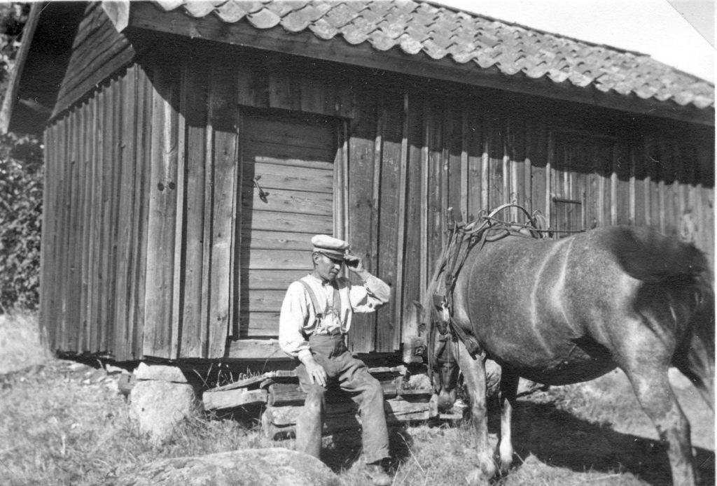 137. Karl Janssson vid stugan på ägorna i Bergboö under höbärgning. Ur familjen Börjemalms arkiv.
© familjen Börjemalm.