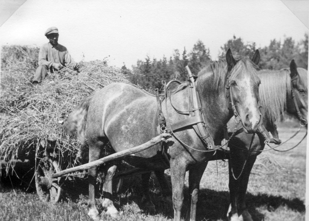 138. Karl Janssons hölass, körd av anhörig till honom. Ur familjen Börjemalms arkiv.
© familjen Börjemalm.