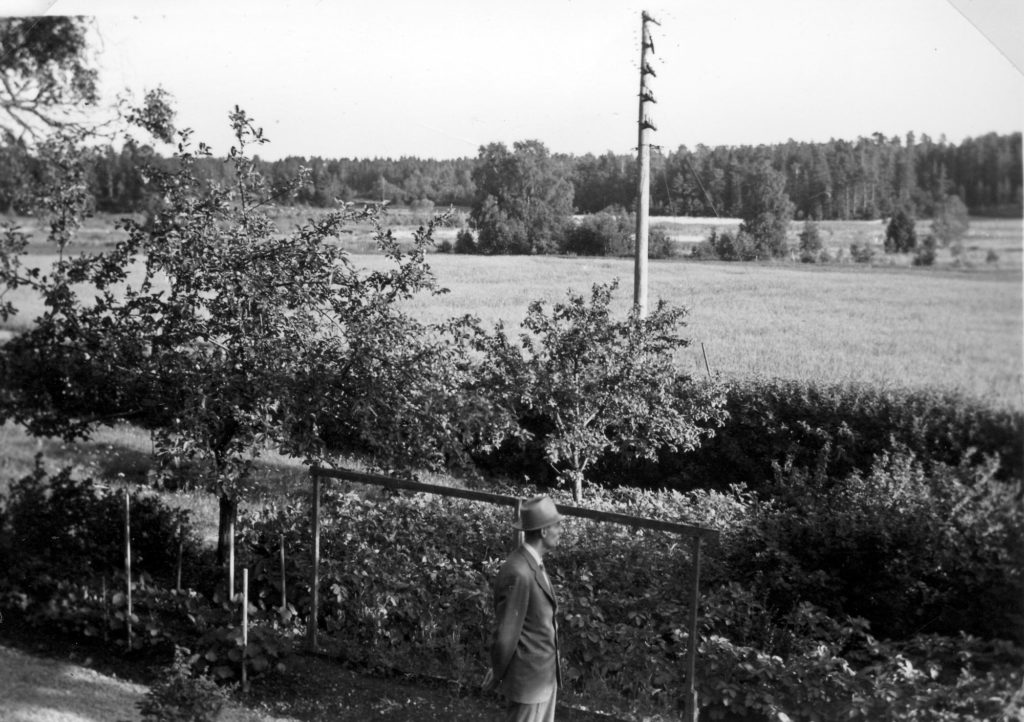 146. Utsikt mot Västersjön från lärarbostaden. Sannolikt 1954.
Ur familjen Börjemalms arkiv.
© familjen Börjemalm.